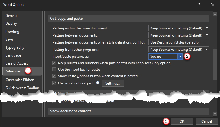 word_options_picture_paste_settings.png