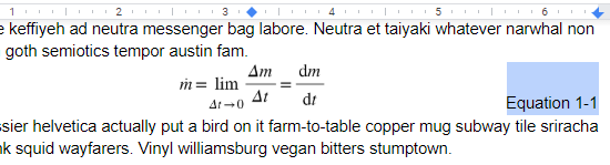 google_numbered_equation_number_selected.png